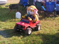 pic017