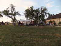 grill15