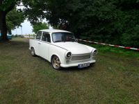 trabbi11