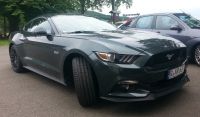 mustang